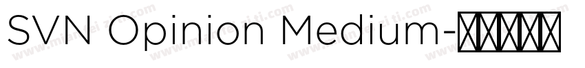 SVN Opinion Medium字体转换